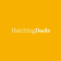 Hatching Ducks